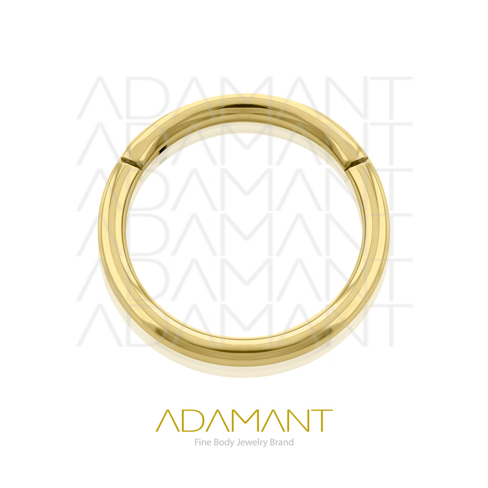 18g, Titanio Platizado Dorado, Aro Clicker con Bisagra