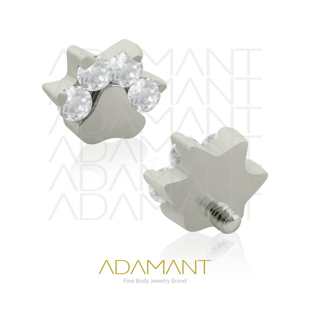 14g, Titanio Accesorio Rosca, 1.2mm Patrón de rosca, Micro Dog Paw, Prong Set, Cubic Zirconia