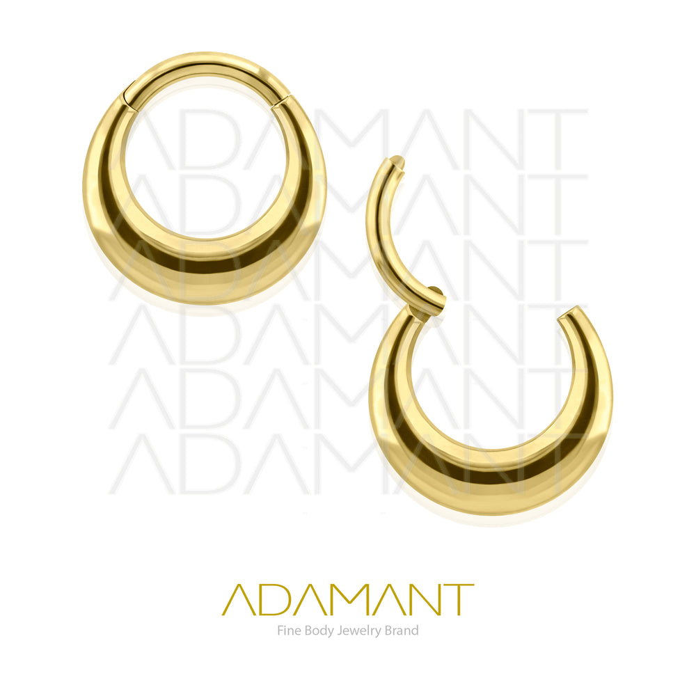 16g,Titanio Platizado Dorado, Aro Clicker Ring con Bisagra Chloe.