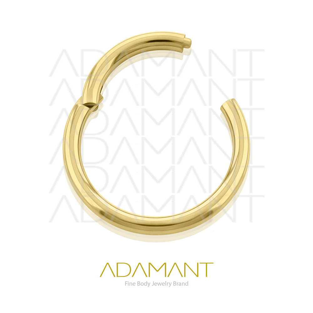 18g, Titanio Platizado Dorado, Aro Clicker con Bisagra