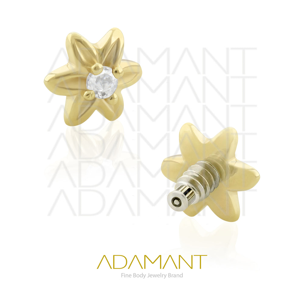 16g, Oro Solido 14k Accesorio Rosca, 0.9mm Patrón de rosca, Flor con centro, Prong Set, Cubic Zirconia