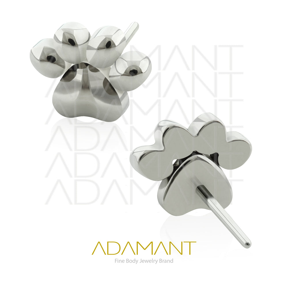 20g-18g-16g-14g Titanio Accesorios Sin Rosca, Paw