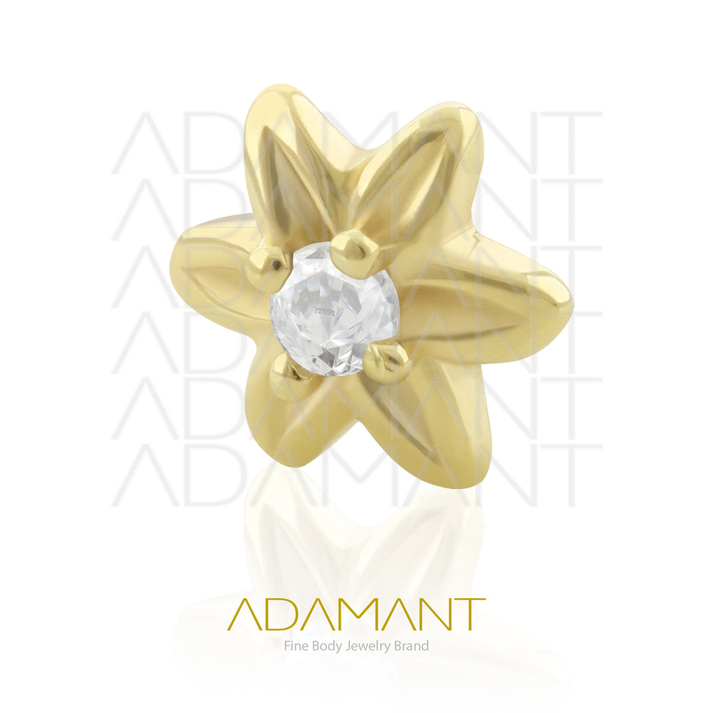 16g, Oro Solido 14k Accesorio Rosca, 0.9mm Patrón de rosca, Flor con centro, Prong Set, Cubic Zirconia